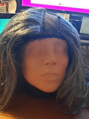 NEW ! Women 24 Inch Long Hair Straight Wig Silver/Gray